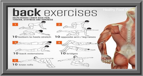 Exercises for Back - Health Safety & Environment