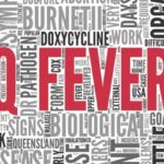 Q Fever